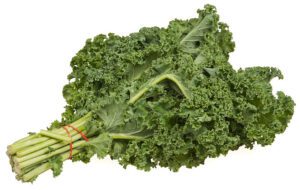 kale vegetable 